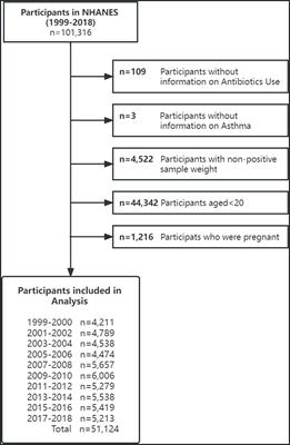 Relationships between antibiotic exposure and asthma in adults in the United States: results of the National Health and Nutrition Examination Survey between 1999 and 2018